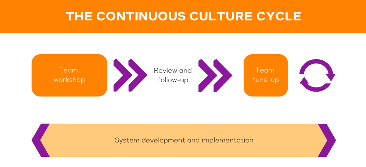 The continuous culture cycle