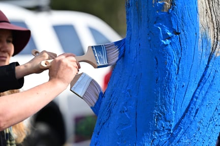 blue-tree-may-2025-0563_54503843087_o