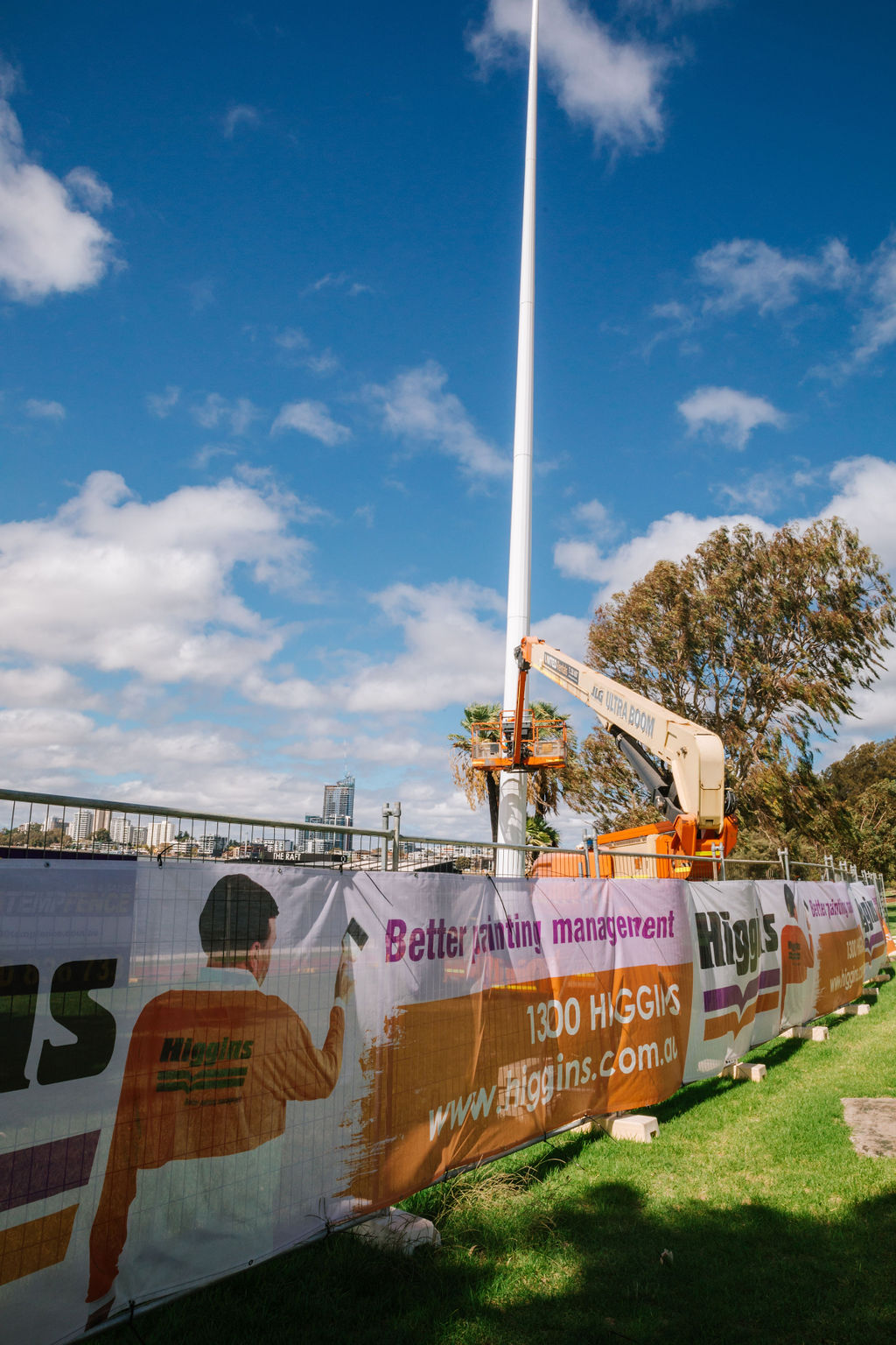 Birdiya Drive flagpole remediation